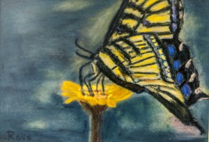 2013-1008-MonarchOnFlower-Pastel-5x7-CWR