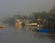 Shad Bay Fog