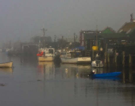 Shad Bay Fog
