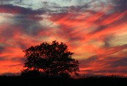 2005-0824-MinnSunset-0115-13X19-CWR