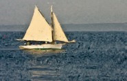 2008-0709-AfternoonSailBarHarbor-VanGoughOilBrush-CWR