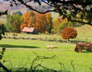 2008-1011-BarnColorsBathCty11X14-CWR