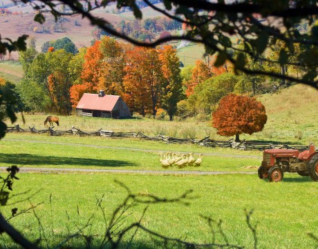 2008-1011-BarnColorsBathCty11X14-CWR