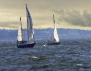 2011-0804-RunningDownwind-NuSky-11X14-ChalkBristleOils-CWR