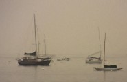 2011-0915-SoWestHarborBoatsFog-11X17-SmeryOilBristleBrush-CWR