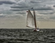 2013-0807-Schooner-OpenWater2-Viveza-11x14-WetOils-CWR